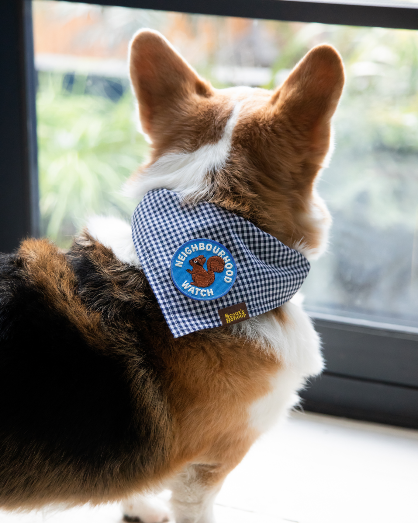 Scout's Honour - Neighbourhood Watch - patch for dogs